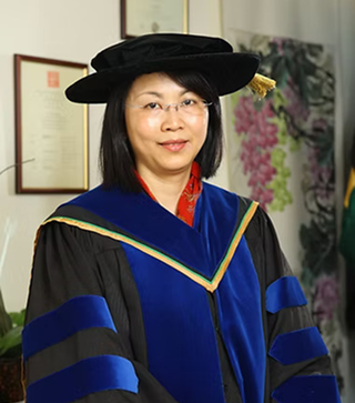 Professor Tatia M C Lee