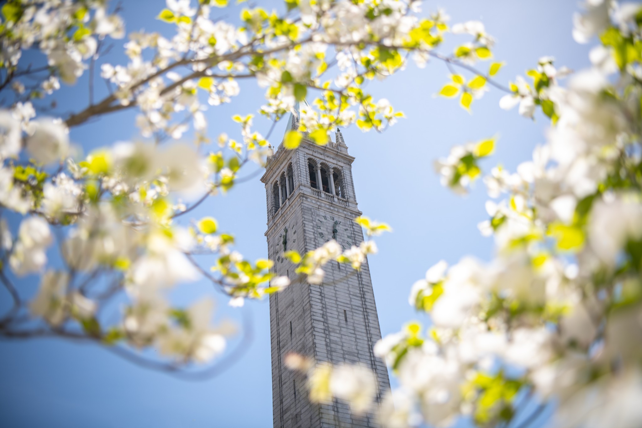 HKU-University of California, Berkeley Dual Degree Programmes