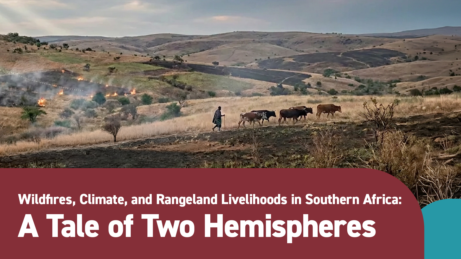 Global South Seminar Series: Wildfires, Climate, and Rangeland Livelihoods in Southern Africa: A Tale of Two Hemispheres